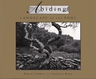 Abiding landscape of the soul book cover